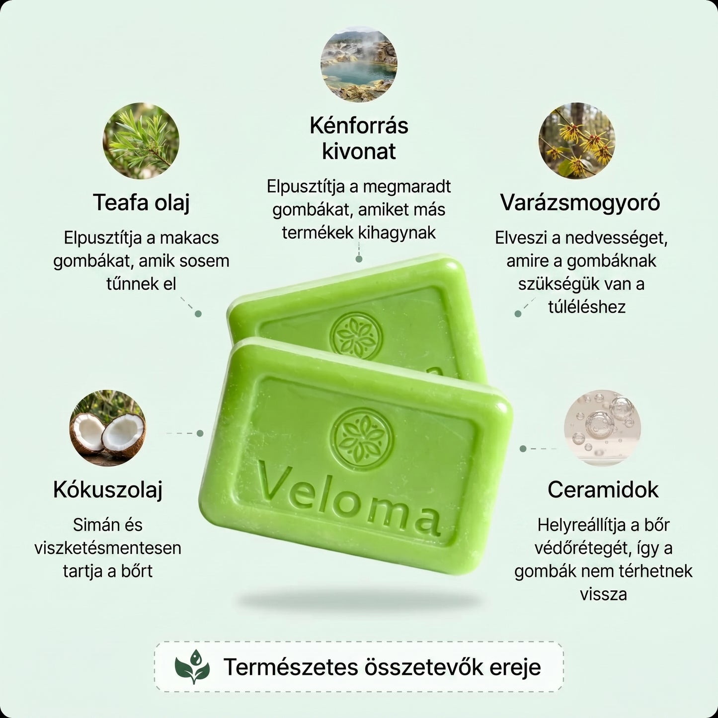 Veloma Gombaellenes Szappan